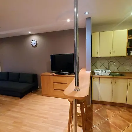 14 - Sloneczny Z Widokiem Na Tatry Apartment *